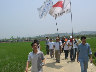 논길을 따라 마을로 향하는 시위대 